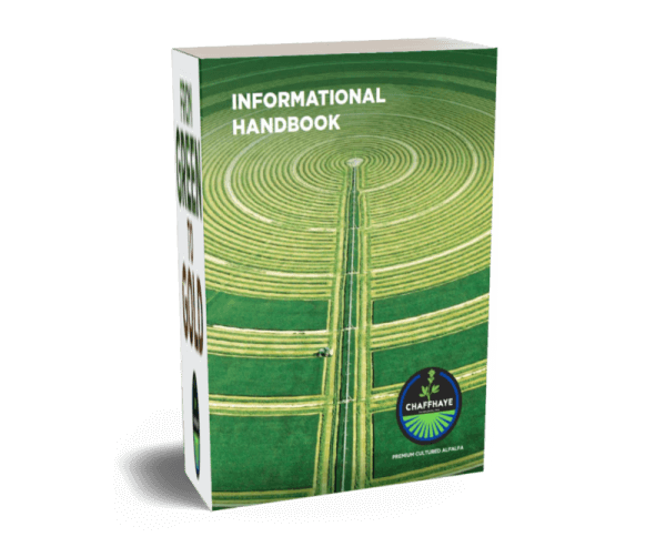 Chaffhaye Informational Handbook